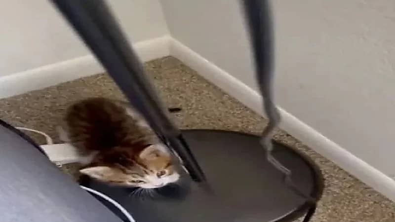 امرأة تكتشف فتحة غامضة في مطبخها