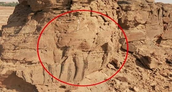 منحوتات لجمل بالحجم الطبيعي بـ " الجوف "