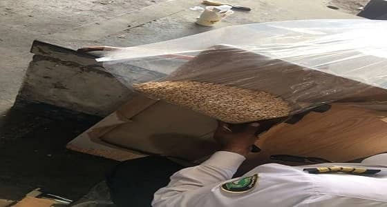 بالصور.. " الجمارك " تحبط تهريب كمية كبيرة من حبوب الكبتاجون بميناء الدمام