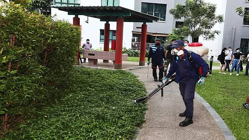 قلق في سنغافورة بعد تسجيل 8 آلاف إصابة بحمى الضنك