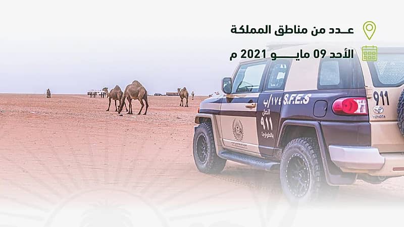 ‏ الأمن البيئي: ضبط 31 مخالفًا لنظام البيئة لرعيهم في مواقع يُمنع فيها الرعي