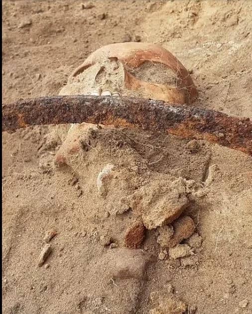 الخطوط السعودية: لا يشترط أخذ اللقاح عند السفر في الرحلات الداخلية