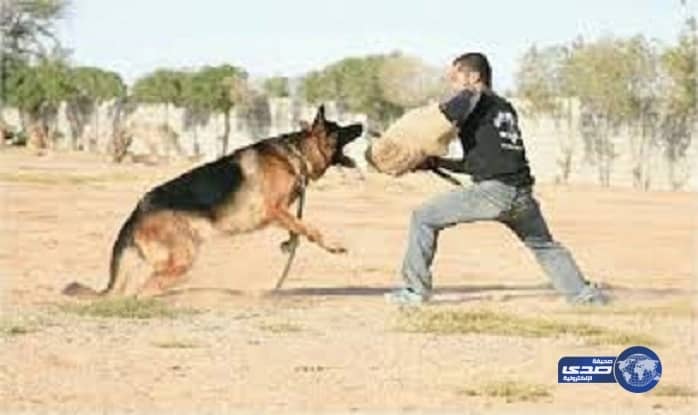 " هنيدي " لمنتقديه : أحنا عيله بتزرع شعر صدرها لتحسين شكلها