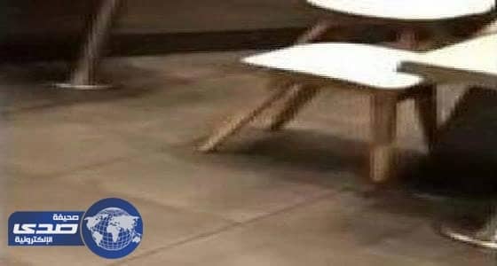 بالفيديو..فأر ضخم يقفز على سيدة أثناء تناولها الطعام داخل كنتاكي