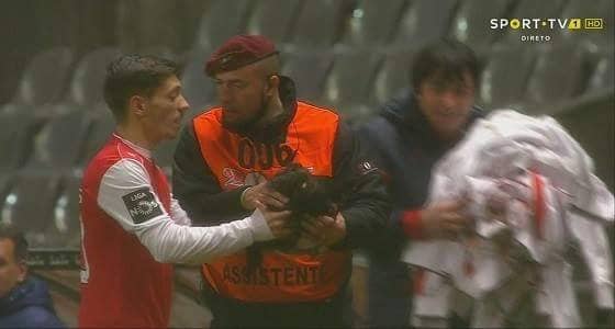بالصور.. "  دجاجة " تقتحم ملعب كرة قدم بالبرتغال