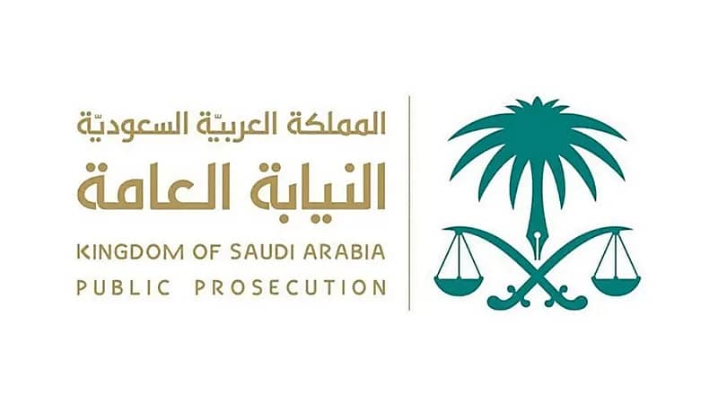 النيابة العامة توضح حقوق الطفل حال مشاركته بالأنشطة الترفيهية