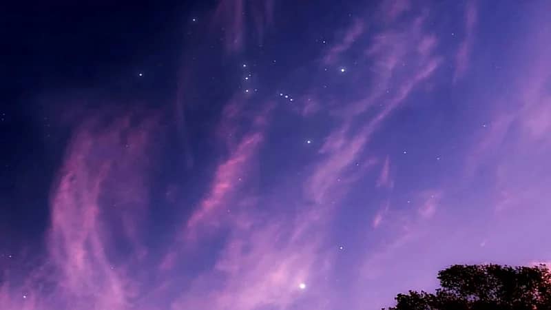 فلكية جدة: «الجوزاء» و «الشعرى» في سماء المملكة فجراً أواخر أغسطس