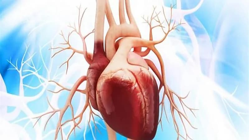 "النمر" يقدم نصيحة للاعبي كرم القدم عند إصابتهم بغشاء التامور الحاد