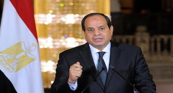 الرئيس المصري يبدأ زيارة رسمية للإمارات