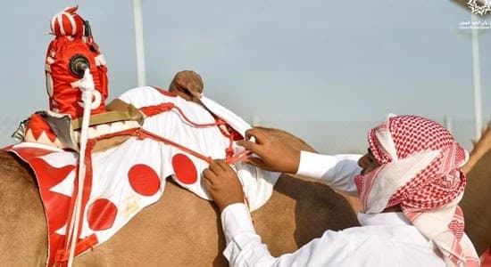 النيابة العامة : تمكين المدين المفلس من تعظيم أصول التفليسة وتنظيم أوضاعه