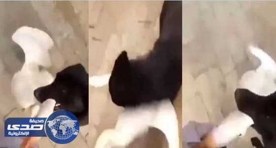 بالصور.. التنمية الاجتماعية بمكة وهدية الحاج والمعتمر ينظمان برنامج " بهجة الدوام "