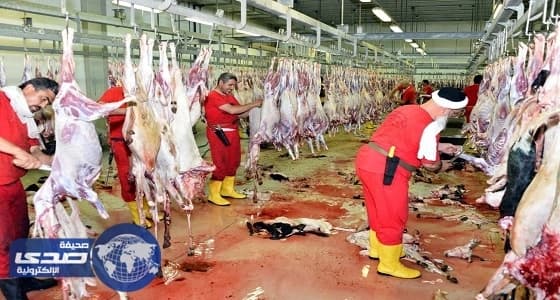 العكاسي: سندات الأضاحي إلكترونية للحد من التزوير