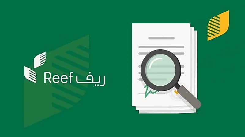 بالفيديو.. برنامج «ريف» يحذر من عدم الالتزام ببعض المعايير