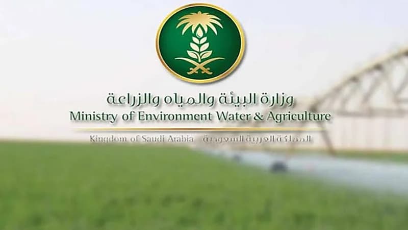 «البيئة» تكشف موعد توقف الخدمات الإلكترونية على موقعها