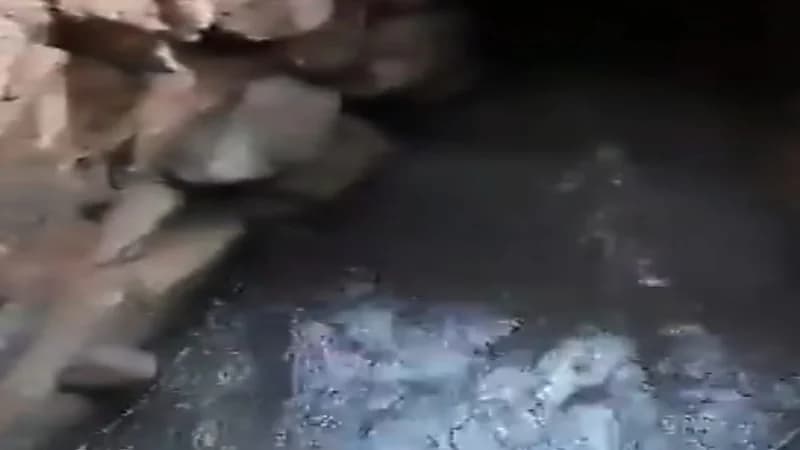 شاهد.. جريان عيون ينبع بعد جفاف لأكثر من نصف قرن