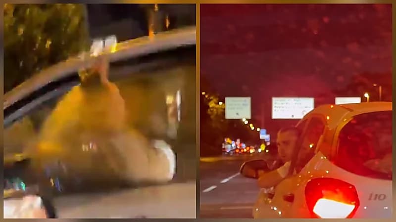 شجار مروري ينتهي برش امرأة برذاذ الفلفل وفقدانها البصر.. فيديو