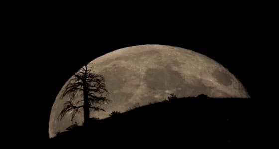 " الزعاق " : ظاهرة البدر العملاق تحدث خلال الليالي المقبلة