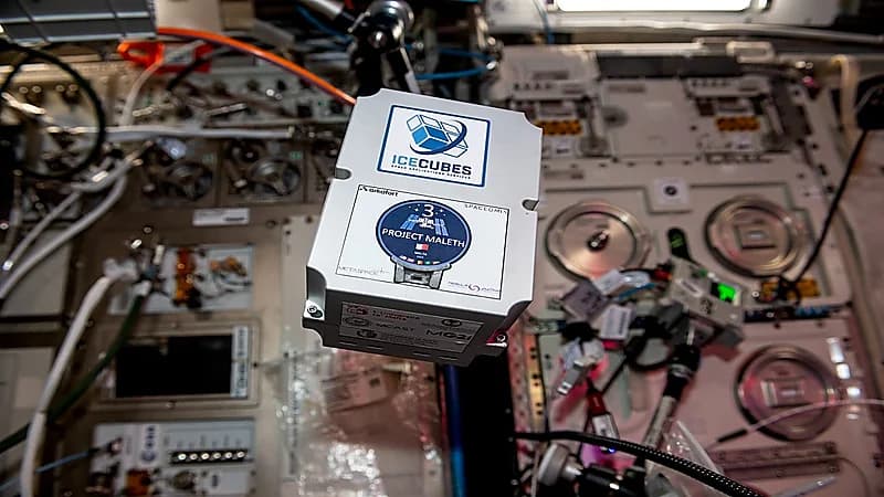 سلطان النيادي يشارك من الفضاء في تطوير دواء لعلاج السكري