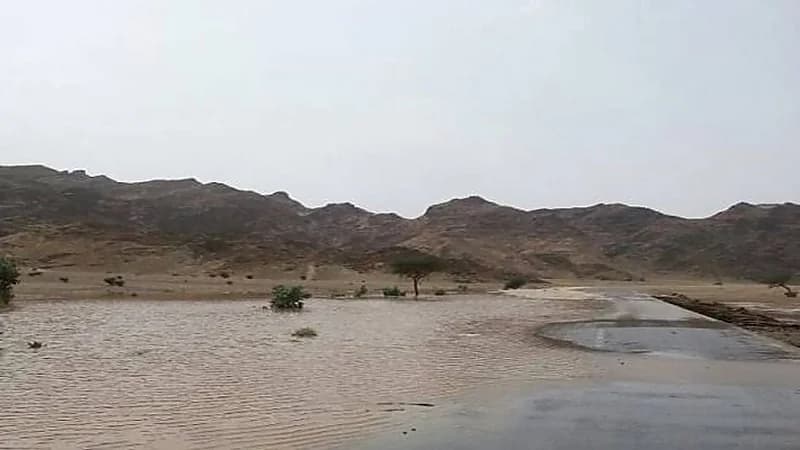 مركز الأرصاد: أمطار رعدية مصحوبة برياح نشطة على العيص