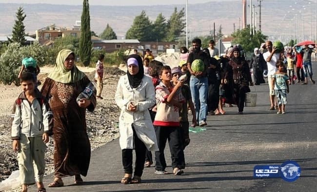 بالفيديو.. أشواك حيوان النيص تخترق جسد ثعبان حاول ابتلاعه