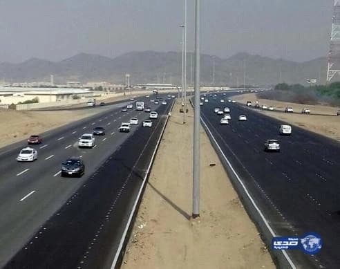 بالصور.. رد فعل طريف لصغار دببة أثناء أصطياد والدهم سمك