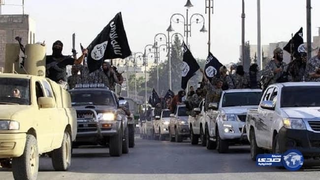 شاهد.. لحظة تتويج وزير الرياضة للفرسان الأوائل بشوط كأس اللجنة الأولمبية والبارالمبية 