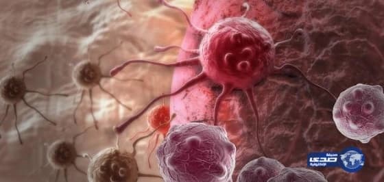 مصادر : الإرهابي قاتل السلولي متفوق دراسياً وقليل الكلام