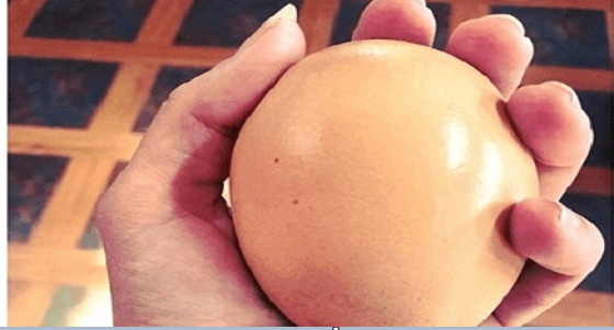 بالصور.. بيضة حامل بأخرى