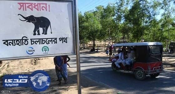 فيلة تقتل 3 أطفال وامرأة من الروهينجا دهسا أثناء نومهم