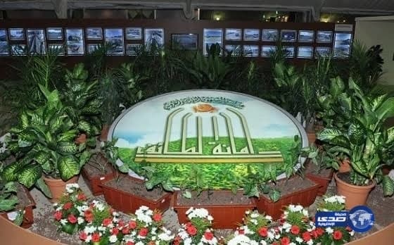 حارس مرمى "رايو" يدخل اهتمام "النصر"