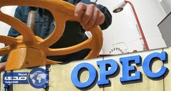 وزير التجارة يكشف عن خطوة جديدة في دعم المشروعات الصغيرة والشباب