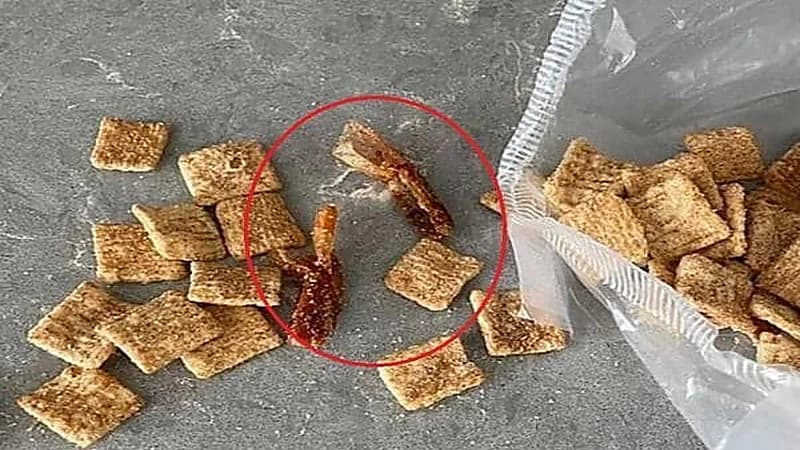 بالصور.. شاب يعثر على أشياء غريبة داخل علبة مقرمشات