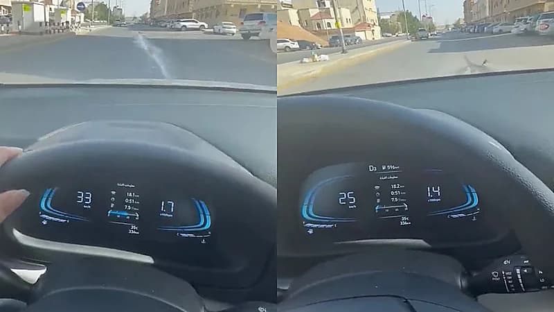 فتاة خافت من دعس حمامة ترتكب مخالفة مرورية .. فيديو