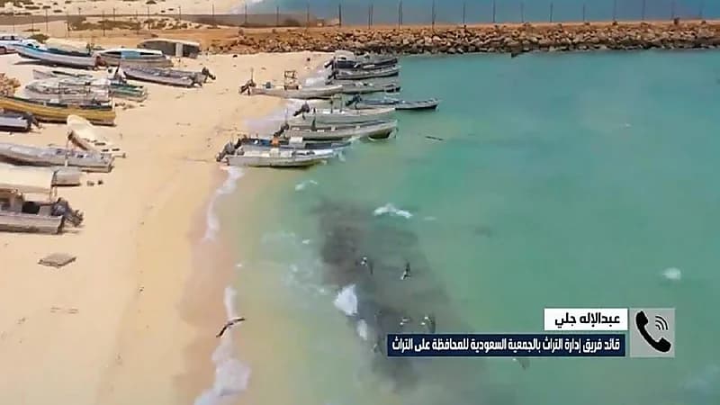 بالفيديو.. تسجيل جزر فرسان في منظمة اليونسكو كأول محمية سعودية