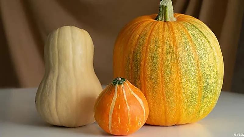 الكشف عن فوائد غير متوقعة لليقطين