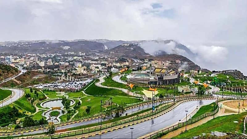 خبير زلازل يوضح سبب حدوث هزات الباحة