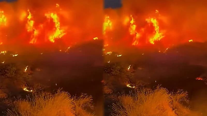 حريق ضخم يلتهم الأشجار في عرعر.. فيديو