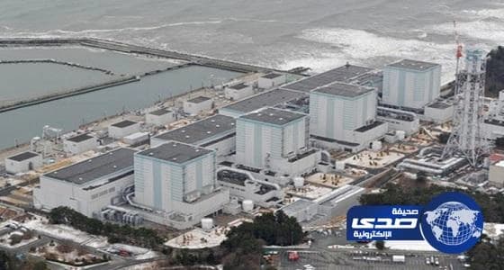 تعرف على مكافأة السياحة والتراث للإرشاد عن القطع والمواقع الأثرية