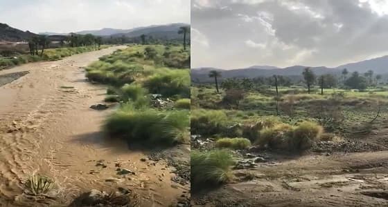 بالفيديو.. جريان وادي قنونا بالعرضيات