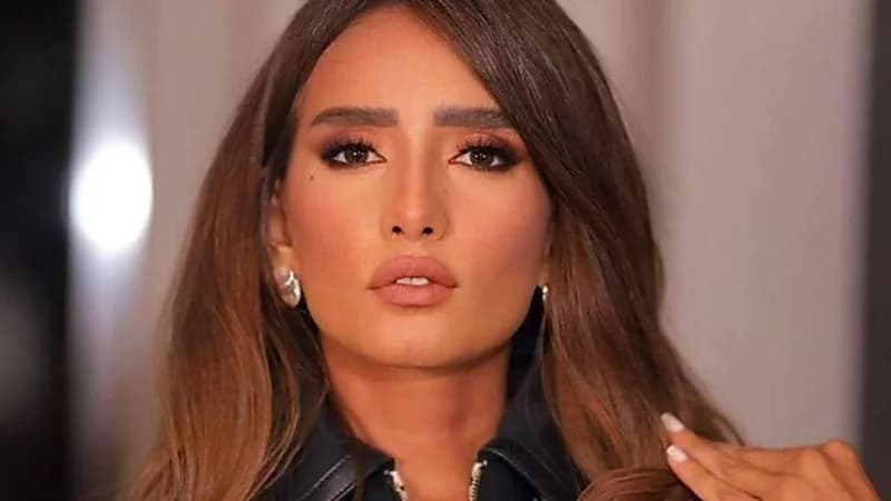 لحظة مشاجرة زينة مع رجل أعمال شهير .. فيديو