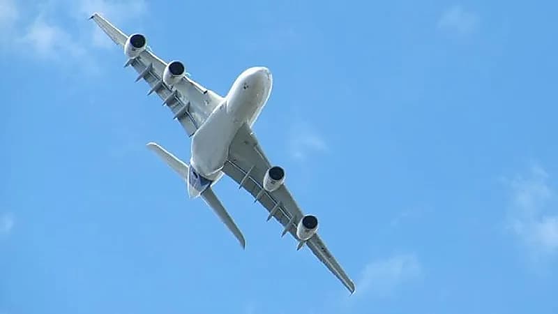 بسبب ثعبان.. طائرة ماليزية تضطر الهبوط