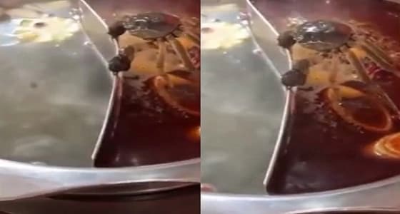 فيديو صادم لـ " جمبري " يجاهد للهروب من الطهي حياً