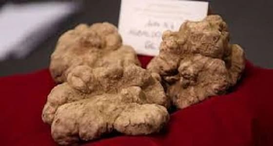 " فقع قطري " يرفع حالة الطوارئ بمطار ألماني