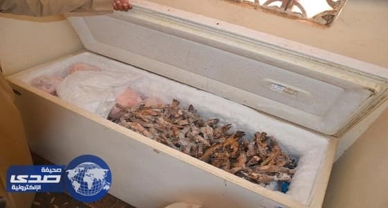 بالصور.. القبض على 8 مروجين للمخدرات و13 مصنعا للخمور بعسير