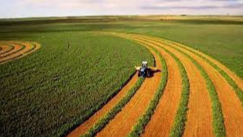 صورة لوثيقة تاريخية نادرة لتعاون بين المملكة ومصر في المجال الزراعي