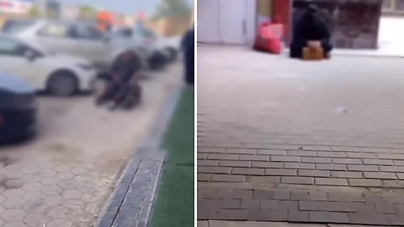 بالفيديو.. ضبط عدد من المتسولين بمنطقتي جازان وحائل