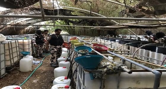 القبض على 3 يمنيين بتهمة تصنيع الخمور في " الشرقية "