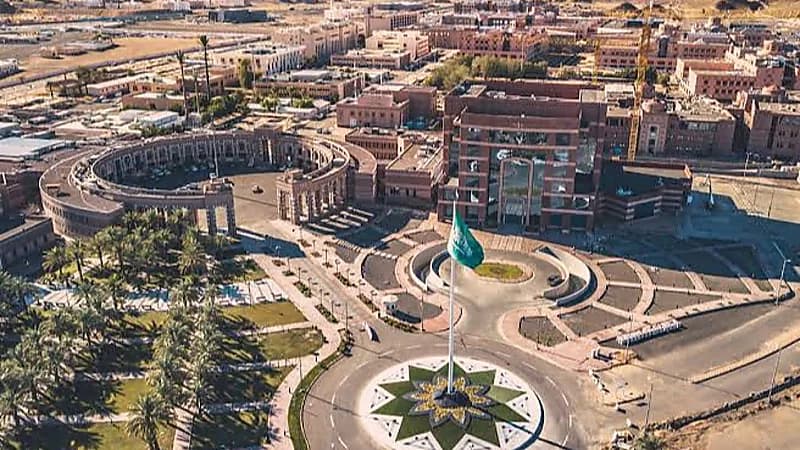 فريق بجامعة طيبة يكتشف طفرة في جين مسبب لداء السكري عند حديثي الولادة