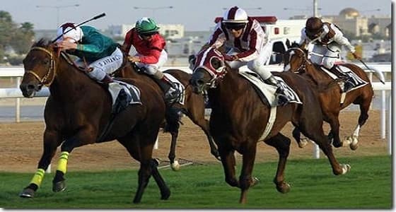 نادي الفروسية يقيم حفل سباقه الـ 49