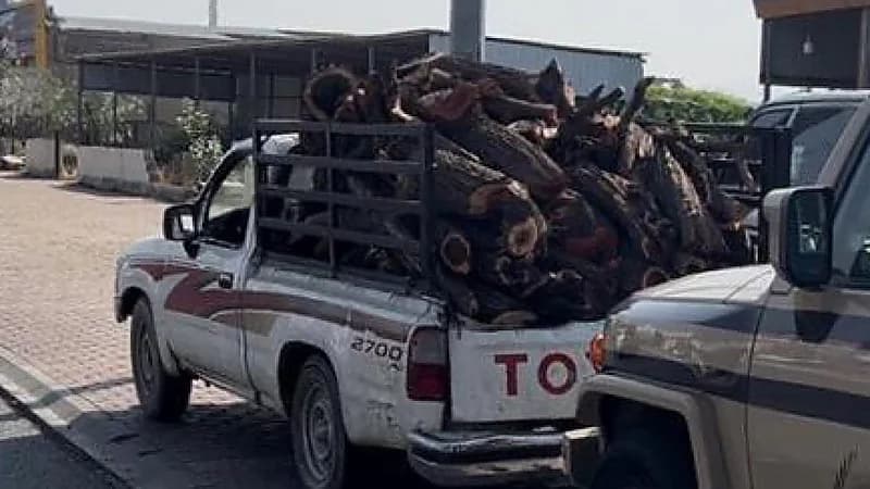 ضبط مخالفين لنظام البيئة لنقلهما حطبًا محليًا بعسير